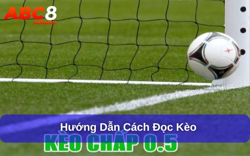 Kèo 0.5 Là Gì? Hướng Dẫn Cách Đọc Và Kinh Nghiệm Chơi Kèo Hướng dẫn cách đọc kèo