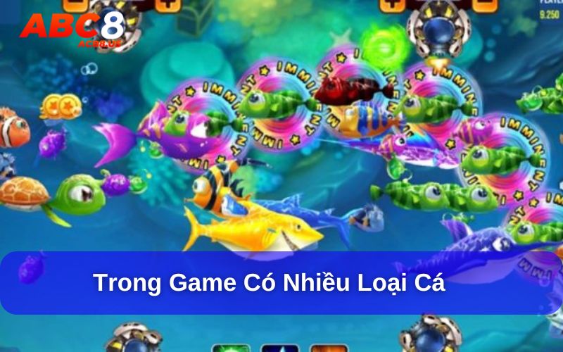 Game bắn cá H5 chơi như thế nào? Mẹo và kinh nghiệm từ cao thủ Trong game có nhiều loại cá với kích thước khác nhau