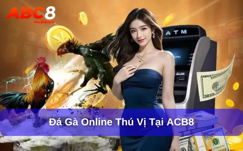 Đá Gà - Di Sản Văn Hóa Với Phiên Bản Mới Tại ACB8 Cá cược đá gà online tại ACB8