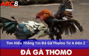 Đá gà thomo